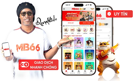 Tổng Quan Nền Tảng B29