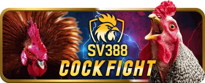 Quy trình đăng ký tài khoản b29 game bài